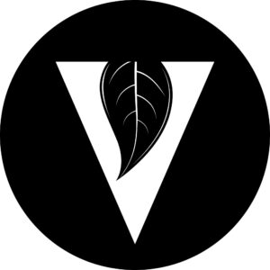 The Vine Church logo